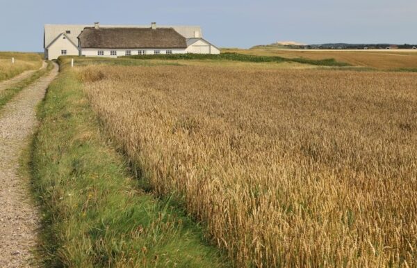 WhatsApp-Image-2025-12-20-at-2.06.23-PM