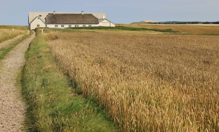 WhatsApp-Image-2025-12-20-at-2.06.23-PM